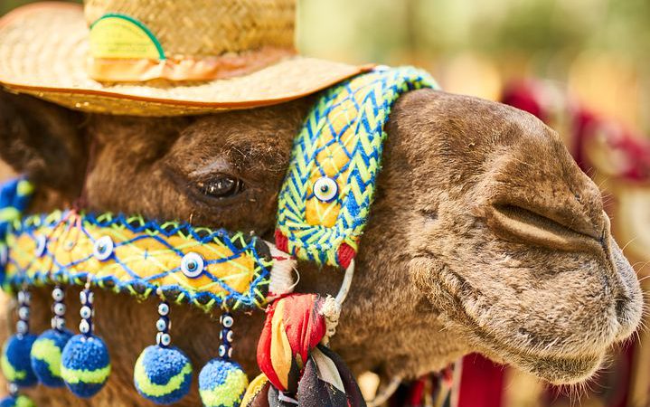 Idealne wakacje dla każdego