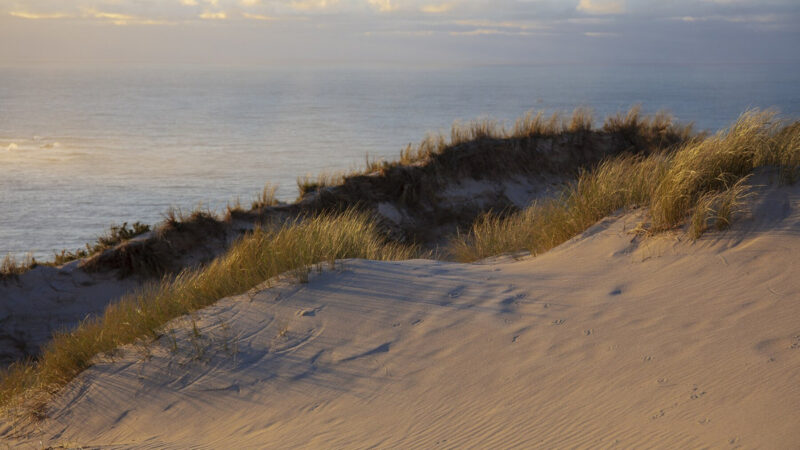 Trzy powody, dla których warto zajrzeć do Lubiatowa